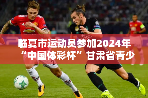 临夏市运动员参加2024年“中国体彩杯”甘肃省青少年跆拳道锦标赛取得佳绩